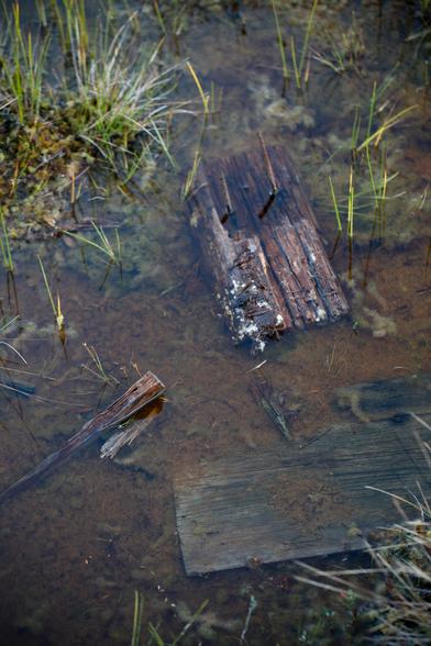 Three planks of wood laying in a stagnant mire.
