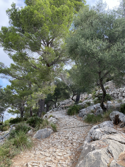 A well-paved way on the way up to Puig de Maria