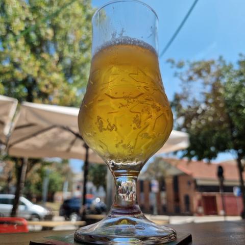 Copa de cervesa Ambar amb fons arbrat