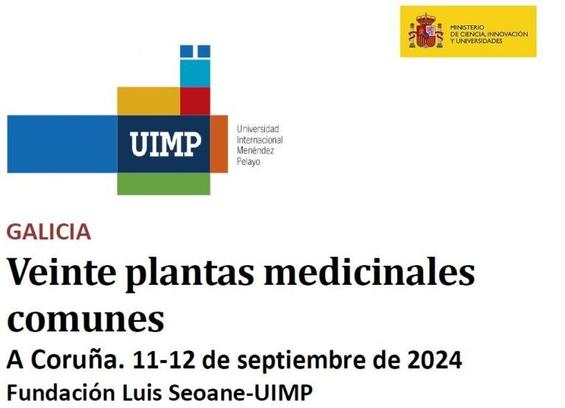 Cartaz do curso cos logos da U.I.M.P. e o ministerio de Ciencia, Innovación e Universidades