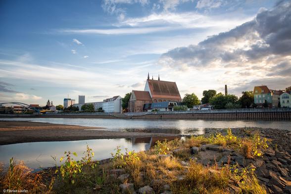 Eine Wasserlandschaft im Oderbruch nahe Frankfurt (Oder).