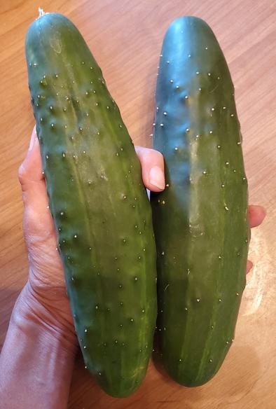 2 large field market cucumbers.