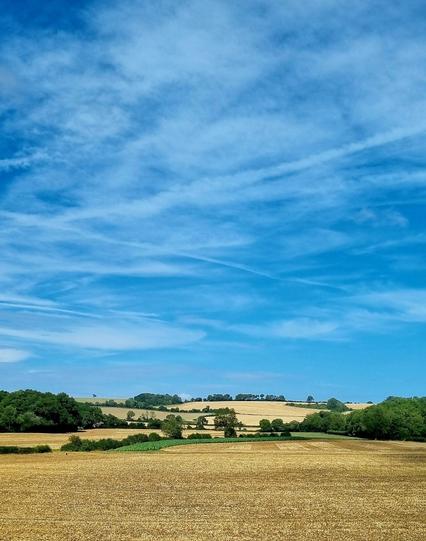 Fields of yellow wheat stubble intersected by bright green lush hedgerows with a dark verdant wood at the top of the hill in the far distance. All set under a warm bright blue midday sky with light high wispy whit clouds