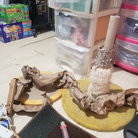 Decapitated cat tree, with new cardboard tube as skeleton inside the broken limb.