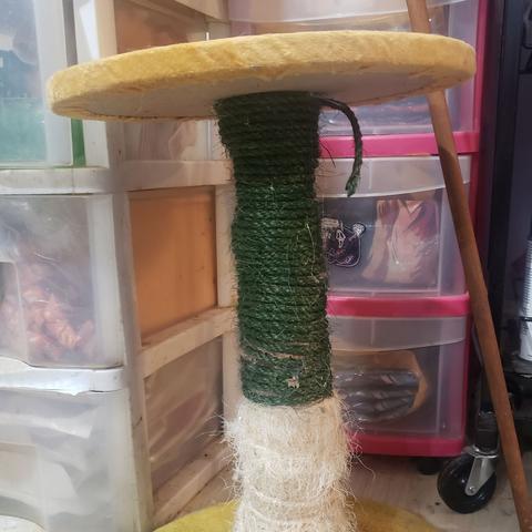 Process pic of wrapping sisal rope around the neck of the tree