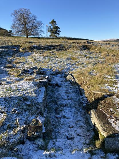 The foundations of a circular broch, the entrance corridor clearly visible. Trees and a cold blue sky in the background.