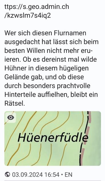 Screenshot von obigem Tröt, der Spracheinstellung EN zeigt. Auf der Karte steht Hüehnerfüdle