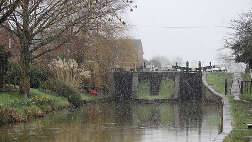 A photo titled "Wheelock to Kidsgrove", taken near Lk 54, Thurlwood Lower Lk - Towpath Sid by Wildlife Terry on Flickr.