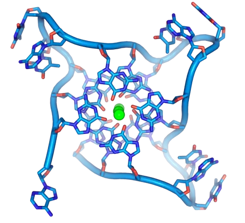 Misteriose eliche evanescenti nel DNA umano