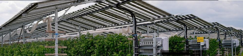 picture of so called "agri-voltaics". Solar panels on farmland. Panels placed "high" ~2 meters above the ground and under the panels grow food. Its dubbel use of the land.