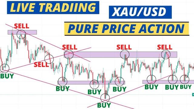 Gold Live Price Action Signals | Price Action Trading Strategy | 5 minute time frame | xau/usd live