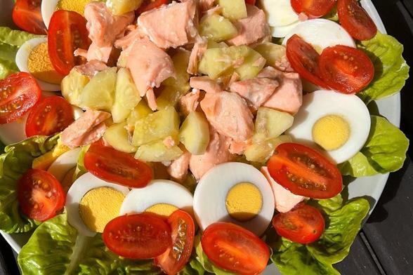 A salmon and cucumber salad over a bed of lettuce with egg and tomato around.
