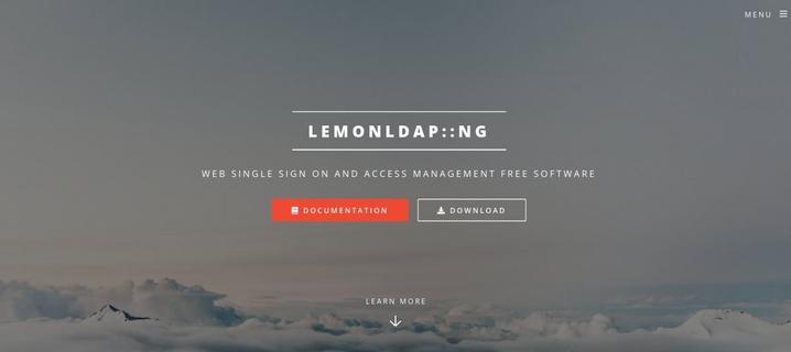 Screenshot of LL::NG website