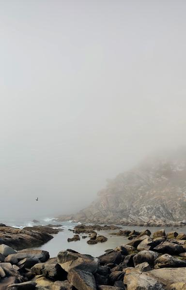 Un poquito de mar en el que se ven una rocas y un acantilado. La niebla va cubriendo poco a poco el acantilado. Hay una gaviota sobrevolando las rocas.