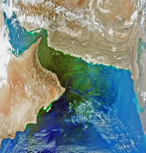 An enhanced satellite image shows flow details within a large phytoplankton bloom in the Gulf of Oman.