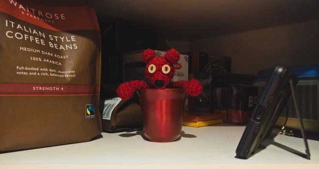 #RedBeanBear #Reports on #TheBiscuitSituation...