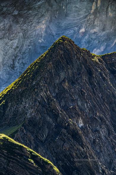 Das Foto zeigt einen scharfen, felsigen Bergkamm in den Berner Alpen, Schweiz. Der Bergrücken ist von steilen, gezackten Felsen durchzogen, die klar sichtbare Schichtungen aufweisen. Entlang des Grates verläuft eine schmale, mit Gras bewachsene Linie, die vom Sonnenlicht beleuchtet wird und sich deutlich von den dunklen Felsen abhebt. Im Hintergrund sind massive, fast senkrechte Felswände zu sehen, die dem Bild Tiefe und Dramatik verleihen. Die gesamte Szene vermittelt eine raue, unberührte und beeindruckende alpine Landschaft.