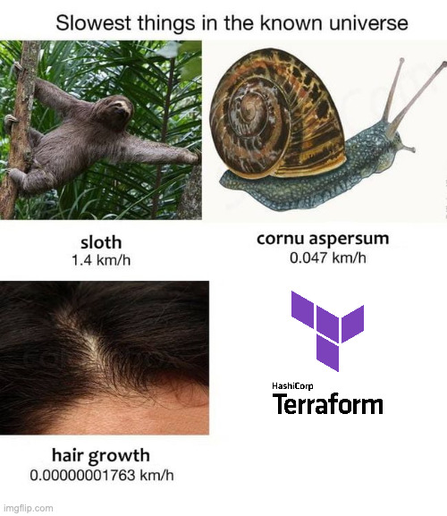 list of slow things, with hashicorp Terraform topping even hair growth at 0.00000001763 km/hr