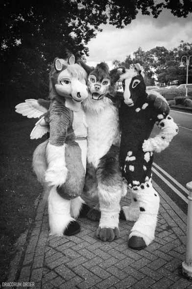 This is a black-and-white film photograph of three fursuiters standing on the sidewalk outside of the Hilton at ConFuzzled 2024, with trees behind them to the left and the car park behind them to the right. From left to right are a pegasus, a fox-wolf, and a hornless unicorn.