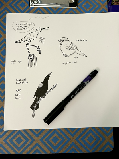 Traditional line art of a lesser yellow legs, a chickadee, and a red winged black bird.