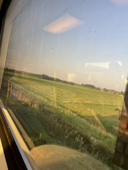 Picture taken from a train looking out on the fields