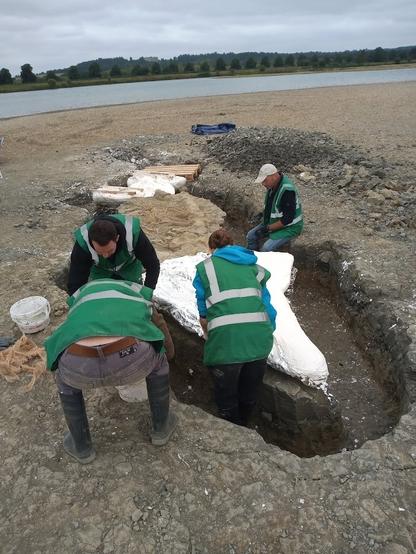 A team of happy people excavating a large skeleton beside a lake, applying plaster of paris to the massive skull about 2 metres long with a deep trnch around it.