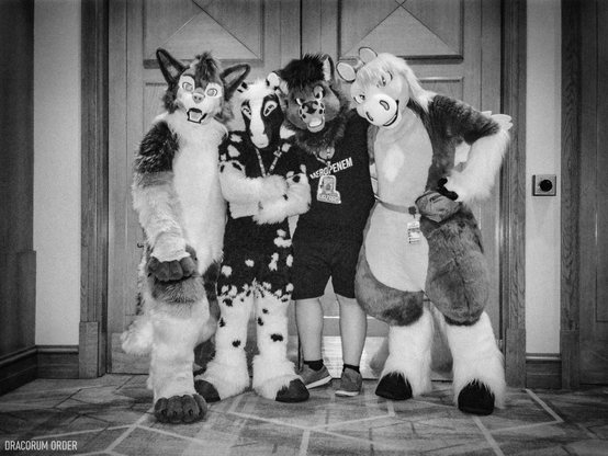 This is a black & white film photograph of four fursuiters standing in front of a big wooden door at ConFuzzled 2024. From left to right is a fox-wolf, a hornless unicorn, a wolf, and a pegasus.
