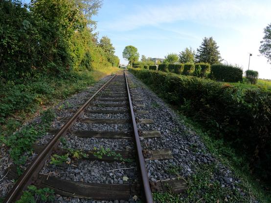 Bahnschienen, die Rechts & Links mit grünen Hecken umgeben ist