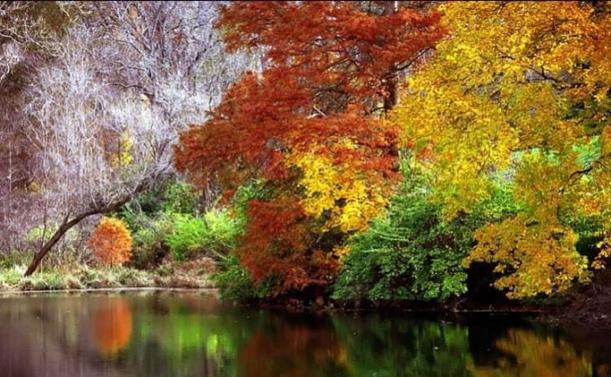 An amazing picture by photographer David Ohmer for Autumn. All the colours on all the trees. Silver, red, brown yellow and green all reflected in a lake in front too.