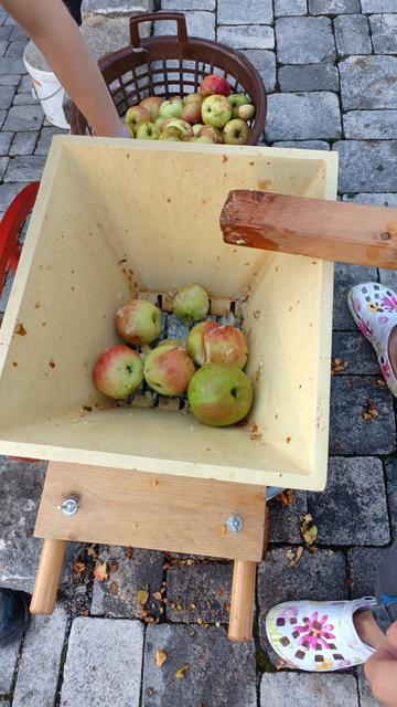 Äpfel in der Raspel