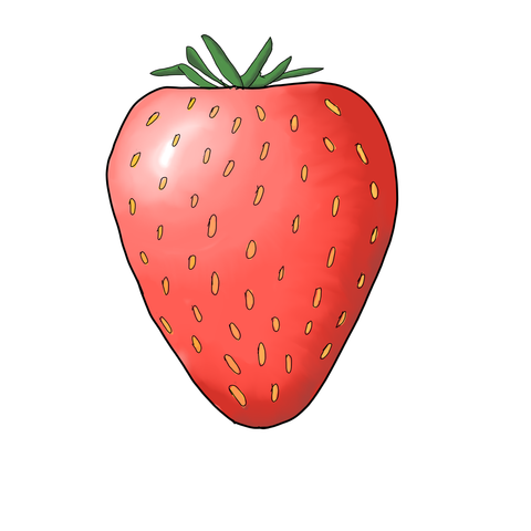 Sketch of a strawberry I made with a drawing tablet and krita