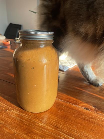 A narrow mouth mason jar stands full of water mixed with soil. It is a solid brown color. Behind the jar of walks a fuzzy cat. You can only see his back legs and fuzzy body.