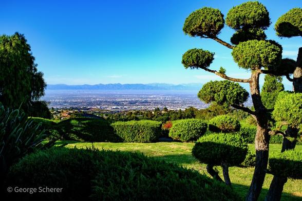 Looking out past ornamental trees and shrubs over the Los Angeles basin.  The mountains and city can be clearly seen, despite a thin, wispy cloud layer.