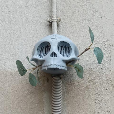 A photo of a stylized human skull sculpture and plastic  leaves hanging on a wall in the street.
The skull is light grey with some black lines drawn on it, some artificial eucalyptus branch are sticking out from each side of his upper jaw . 
It has no lower jaw. it has a cooking pan drawn on the forehead.