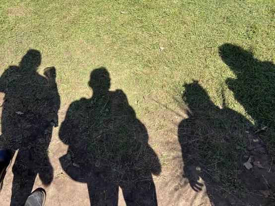 The shadows of four people against a grassy background