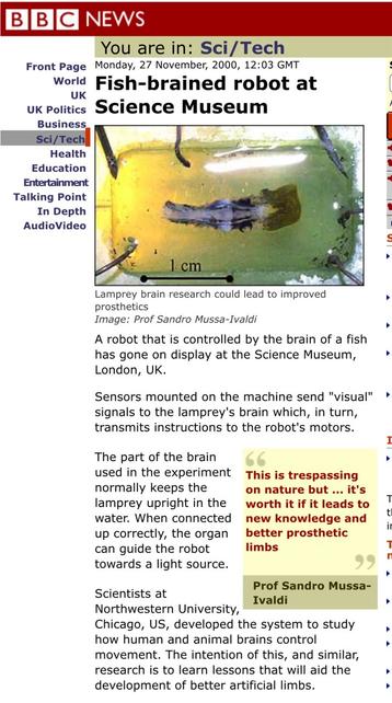 BBC NEWS You are in: Sci/Tech Monday, 27 November, 2000, 12:03 GMT Fish-brained robot at Science Museum Lamprey brain research could lead to improved prosthetics.

A robot that is controlled by the brain of a fish has gone on display at the Science Museum, London, UK. Sensors mounted on the machine send "visual" signals to the lamprey's brain which, in turn, transmits instructions to the robot's motors. The part of the brain used in the experiment normally keeps the lamprey upright in the water. When connected up correctly, the organ can guide the robot towards a light source. This is trespassing on nature but ... it's worth it if it leads to new knowledge and better prosthetic limbs Scientists at Prof Sandro Mussa- Ivaldi Northwestern University, Chicago, US, developed the system to study how human and animal brains control movement. The intention of this, and similar, research is to learn lessons that will aid the development of better artificial limbs.