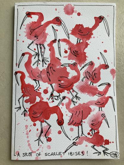 A watercolour and ink painting of splotchy scarlet ibises