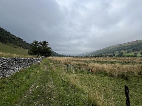 A gravel path winds through a grassy landscape bordered by a stone wall, leading towards rolling hills under a cloudy sky. A solitary tree is positioned along the path, amidst tall grasses.
