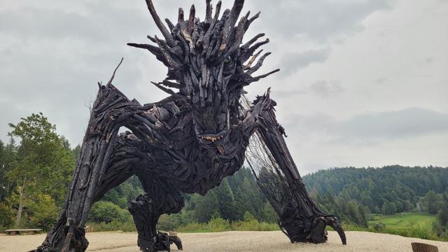 Drago Vaia Regeneration