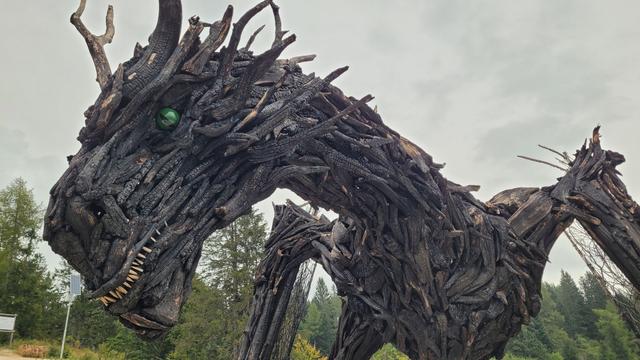 Drago Vaia Regeneration