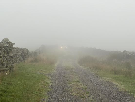 A misty path surrounded by stone walls and overgrown grass, with faint headlights visible in the distance. The scene conveys a sense of mystery and isolation.