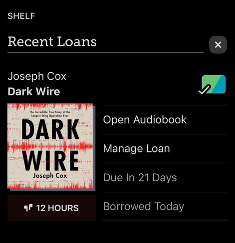 Screenshot of audiobook version of this book in the Libby app
