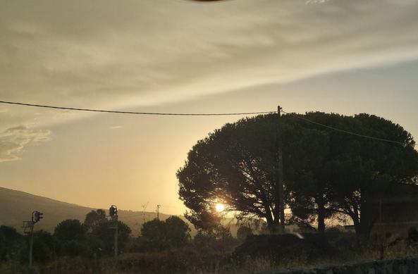 Al tramonto, il sole sembra incastrarsi tra i rami degli alberi, come una pietra preziosa in un anello o in un gioiello, mentre tutto attorno si tinge di dorato
