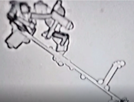 nano-structuren in injectievloeistoffen John Campbell