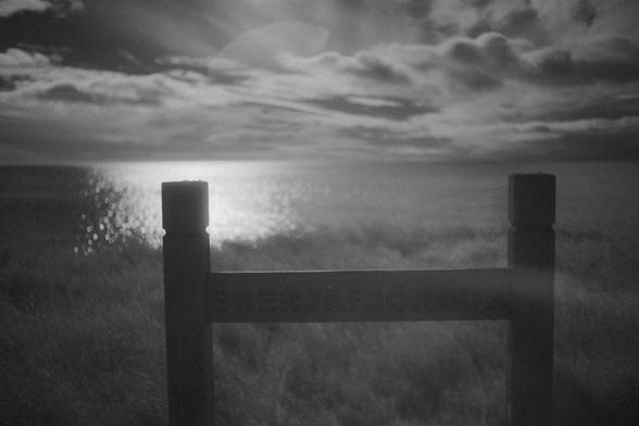 Black and white image made with an infrared filter. Wodden sign spelling Skerjafjörður, grass in the bottom part of the frame, the bay in the middle and clouds on the top.
