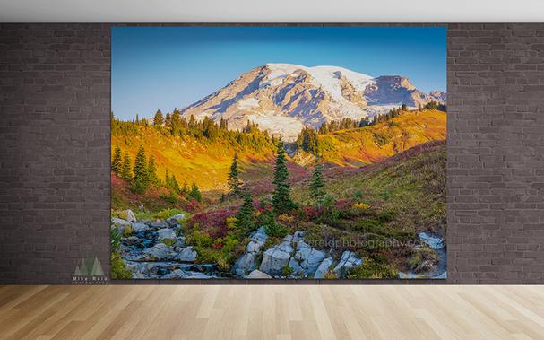 Fall colors are just starting to show at Mount Rainier National Park.  A beautiful time to be in nature.