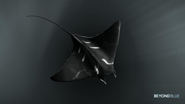A manta ray seen from above with behind the depth of thhe sea. In black and white.