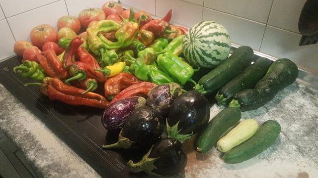 Contenido de la cesta de la semana sobre una encimera de cocina.
En primer plano, pepinos verdes y blancos. Berenjenas moradas y negras y calabacines verdes.
Detrás, una sandía pequeña. Un montón de pimientos de varias clases. Y al fondo, tomates.