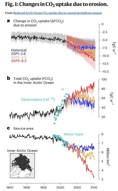 A figure displaying changes in CO2 uptake due to erosion of coastal permafrost from Nielsen et al. 2024.
a, Annual changes in the Arctic Ocean’s uptake of atmospheric CO2 due to coastal permafrost erosion. The shading represents the range of uncertainty stemming from varying OM permafrost characteristics in our simulations, while the solid line represents the mean response. b, Total Inner Arctic Ocean CO2 uptake without coastal erosion (lines) and with coastal erosion (shade). c, Evolution of the Inner Arctic Ocean’s sea-ice area.