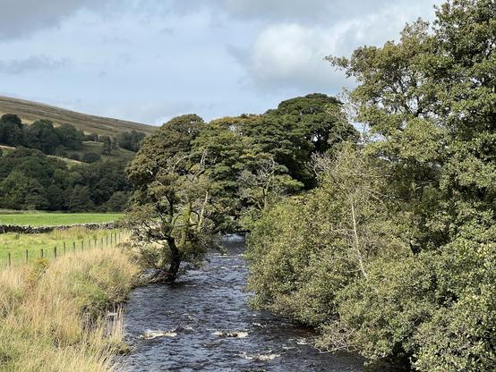 A serene view of a river lined with trees, surrounded by rolling hills and a grassy bank. The sky is partly cloudy, enhancing the tranquil atmosphere of the landscape.